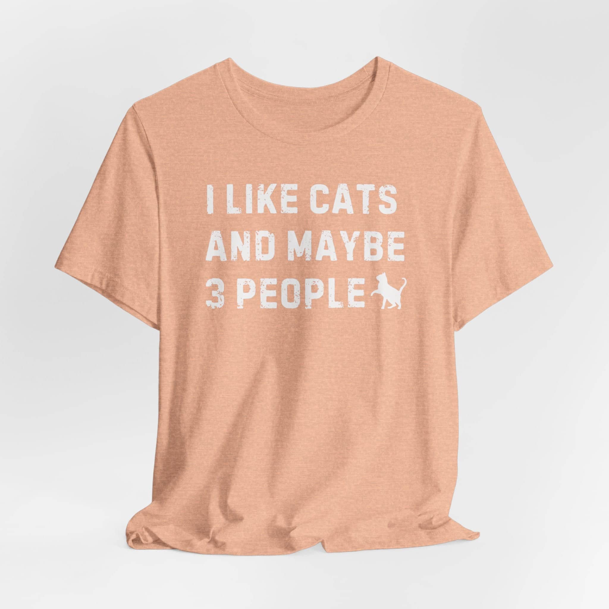 I Like Cats and Maybe 3 People T-Shirt