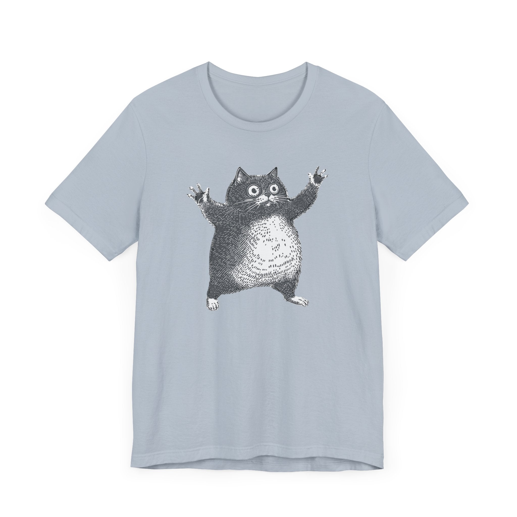 Hilarious Chonky Cat T-Shirt Vintage Funny Cat Graphic Tee