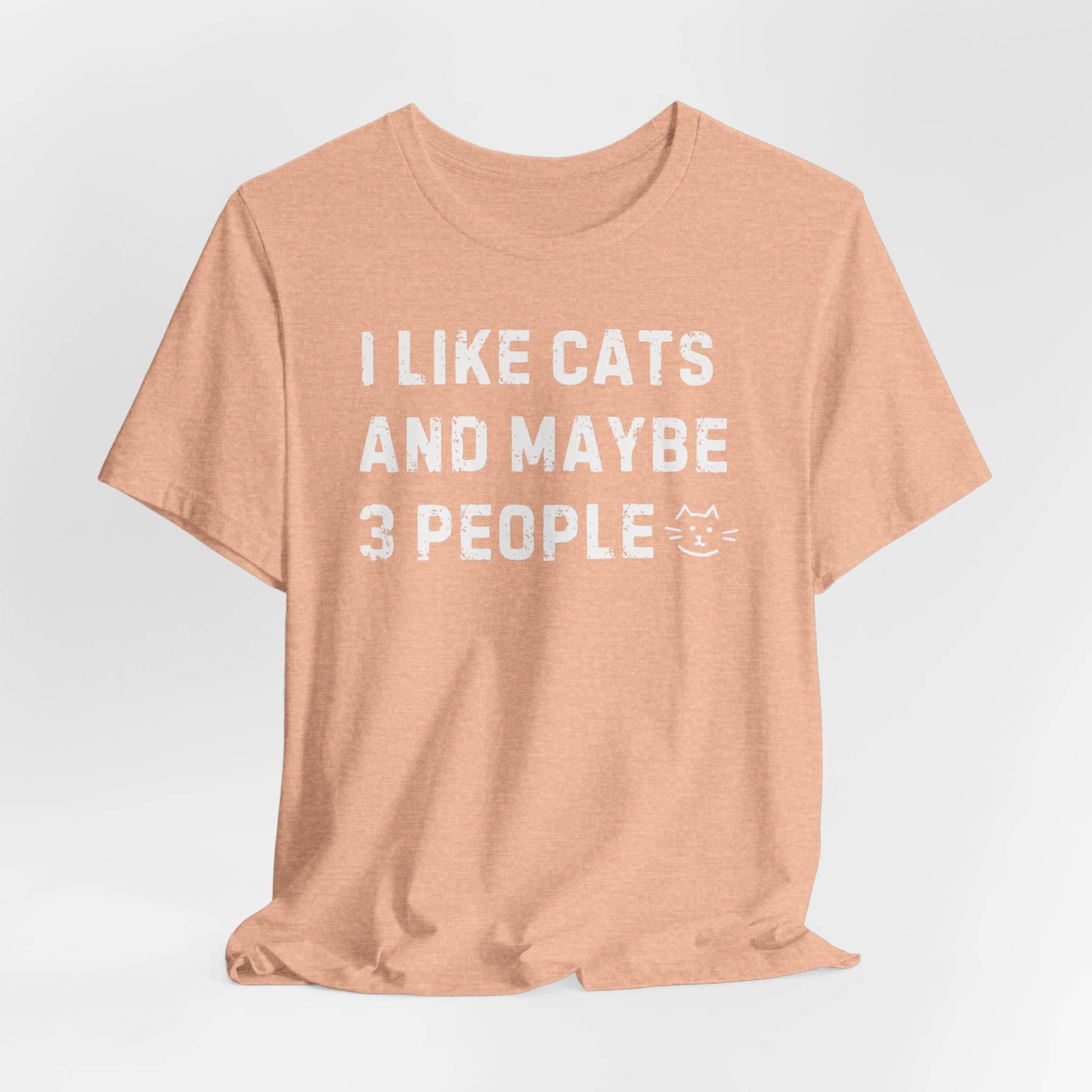 I Like Cats and Maybe 3 People Funny Tee