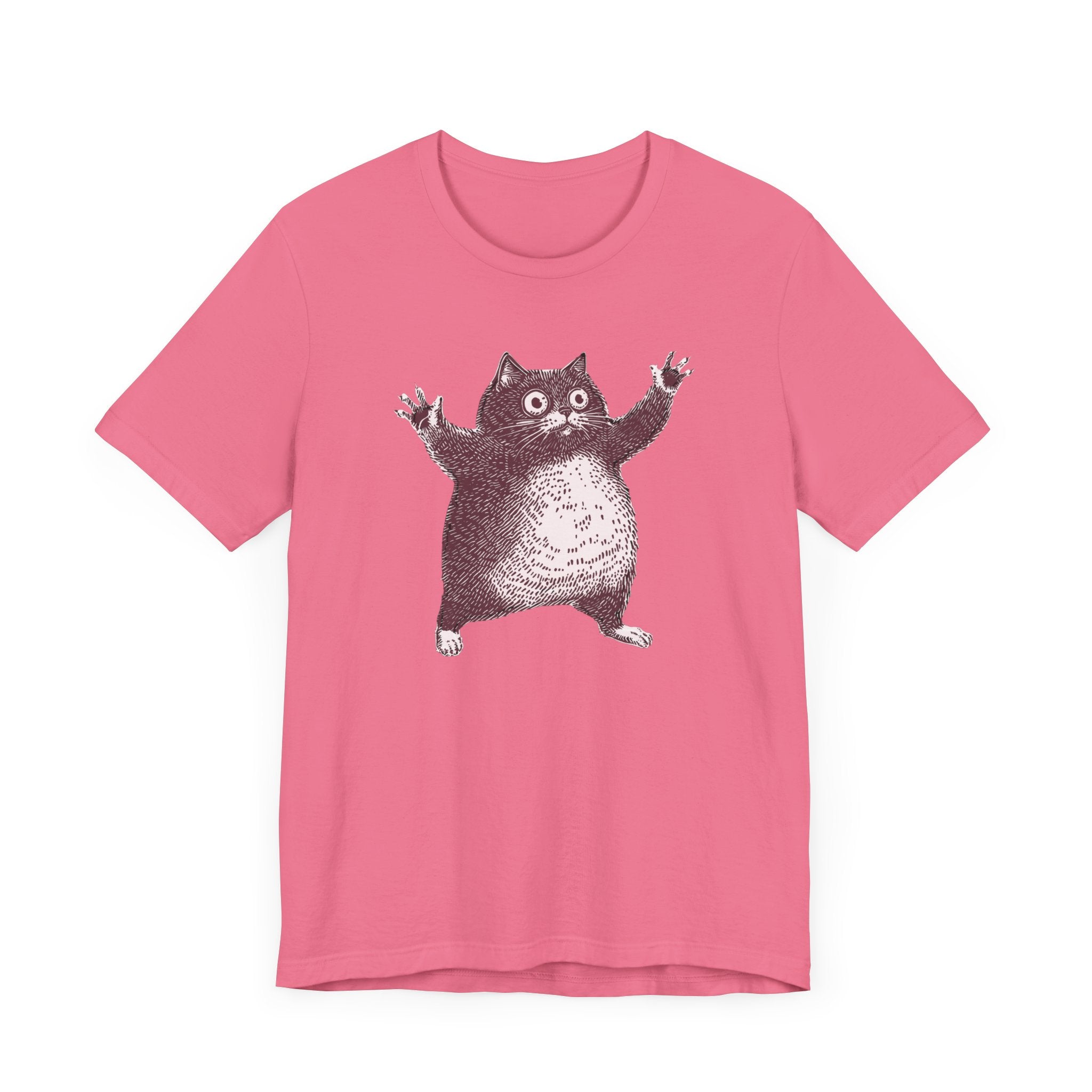 Hilarious Chonky Cat T-Shirt Vintage Funny Cat Graphic Tee