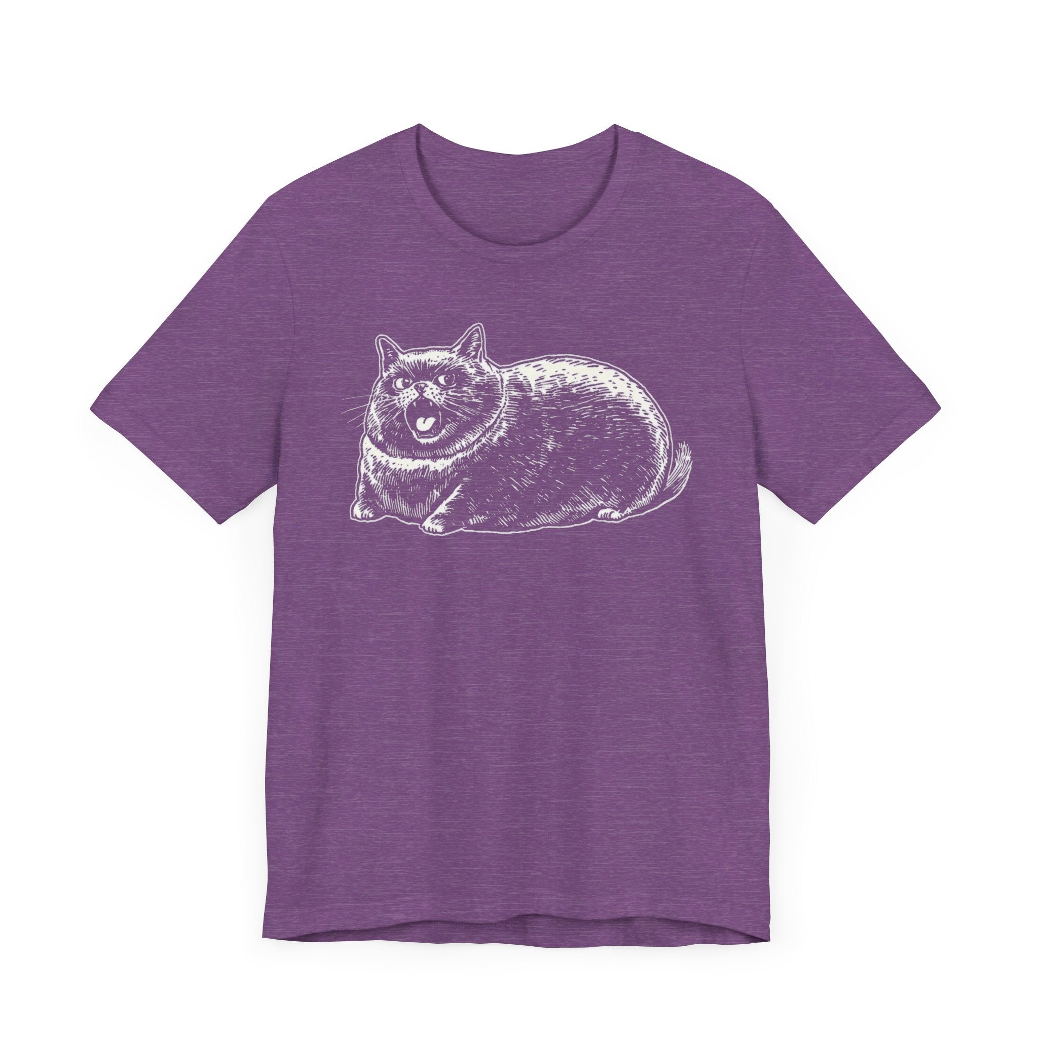 Grumpy Chonky Cat T-Shirt Funny and Quirky Design